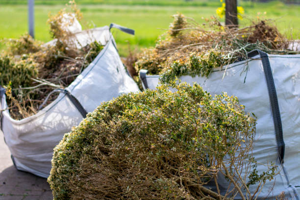 Best Full-Service Junk Removal  in Temecula, CA